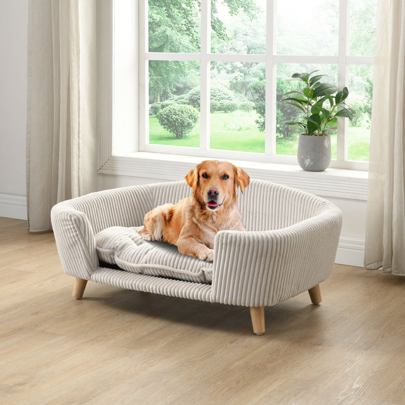 Archie & Oscar™ Jagger Corduroy Upholstered Dog Bed Sofa With
